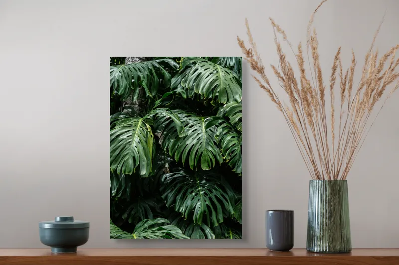 Tablou Canvas, "Frumusețea luxuriantă a naturii tropicale", Verde, Frunze, Tropical, Luxuriant, Umbră, Natură, Exotic, Textură, 39 x 54 cm – poza 3