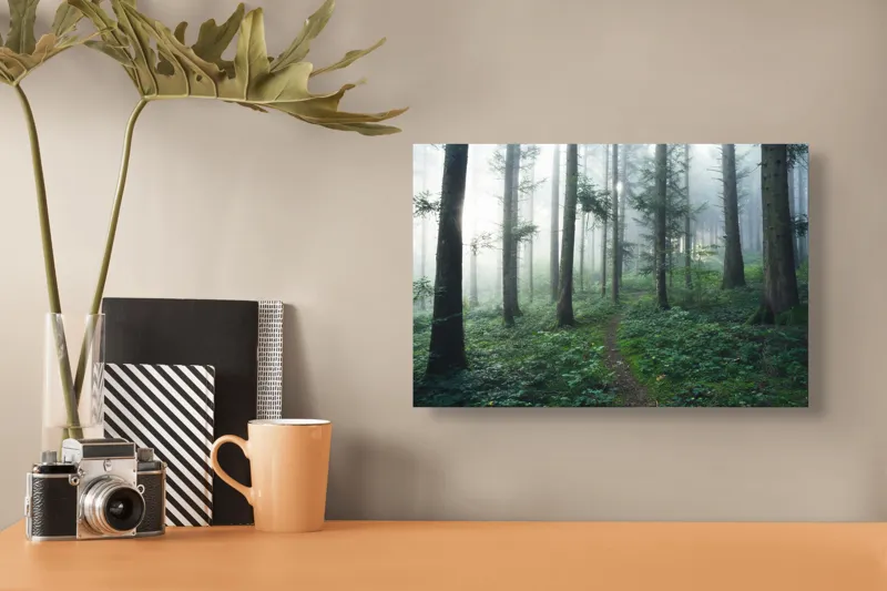 Tablou Canvas, "Cărare prin pădurea învăluită în ceață", Mister, Lumină, Verdeață, Cărare, Arbori, Pădure, Frunziș, Seninătate, Abur, Ploios, 39 x 26 cm – poza 3