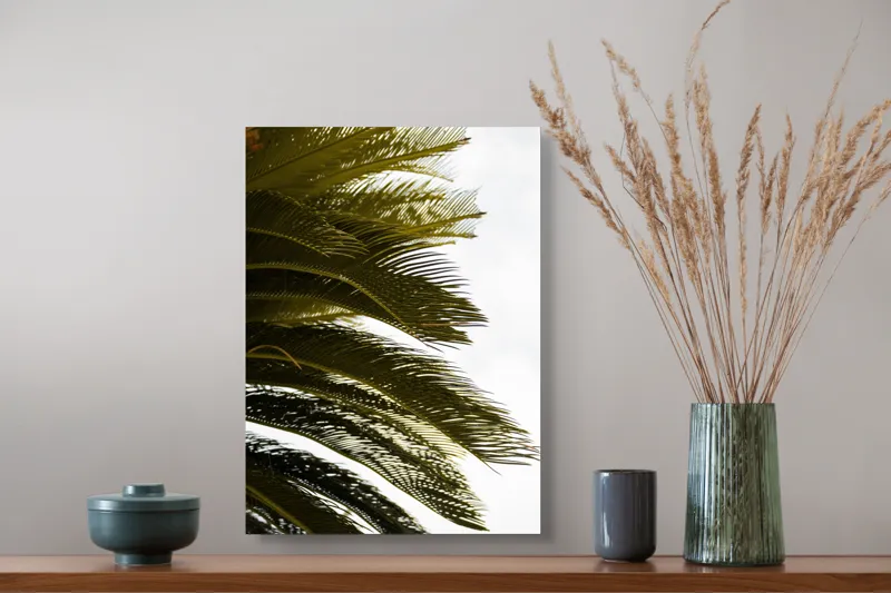 Tablou Canvas, "Frunze de palmier în vânt liniștit", Frunze, Palmier, Verde, Contrast, Textură, Cer, Lumină, Delicat., 39 x 54 cm – poza 3