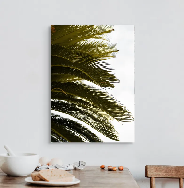 Tablou Canvas, "Frunze de palmier în vânt liniștit", Frunze, Palmier, Verde, Contrast, Textură, Cer, Lumină, Delicat., 50 x 70 cm – poza 3