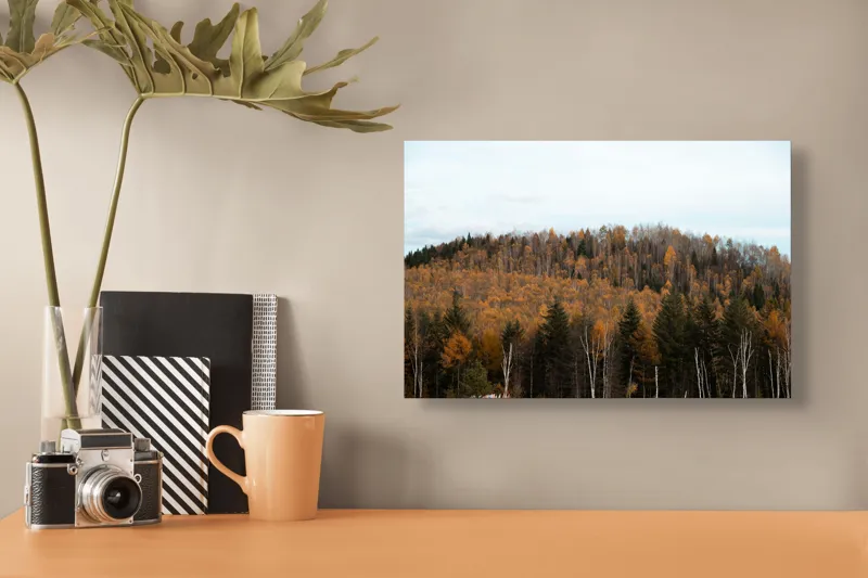 Tablou Canvas, "Pădurea toamnei în culori calde", Pădure, Toamnă, Culori, Copaci, Natură, Frunziș, Cer, Armonie, Peisaj, Tranquilitate, 39 x 26 cm – poza 3
