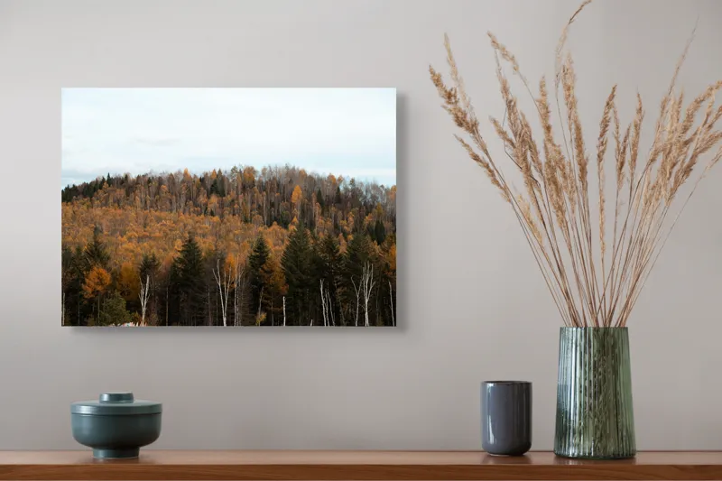Tablou Canvas, "Pădurea toamnei în culori calde", Pădure, Toamnă, Culori, Copaci, Natură, Frunziș, Cer, Armonie, Peisaj, Tranquilitate, 54 x 39 cm – poza 4