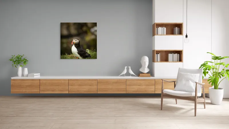 Tablou Canvas, "Papagal de mare în iarba verde", Puffin, Iarbă, Cioc, Penaj, Natură, Solitar, Frumusețe, Liniște, Observație, Curiozitate, Mediu, 100 x 100 cm – poza 8