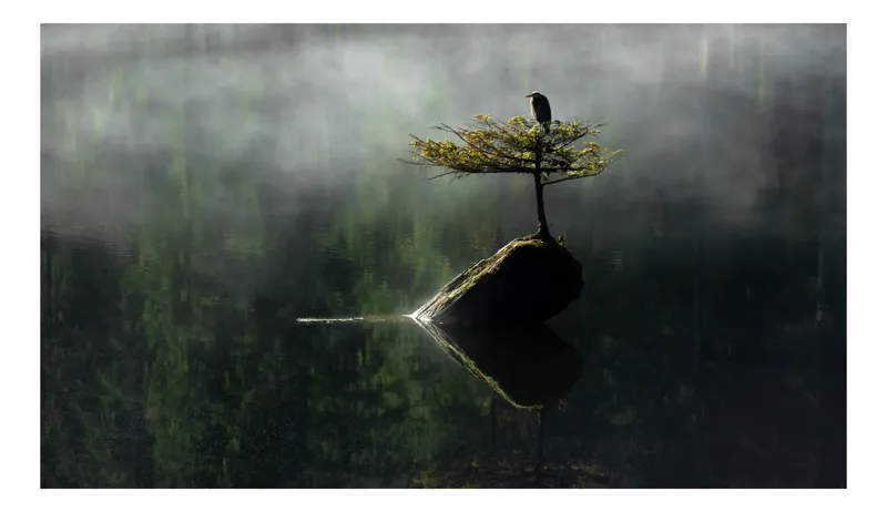 Tablou Canvas, "Pasărea solitară de pe insulița verde", Mister, Solitudine, Reflecție, Natură, Liniște, 100 x 100 cm