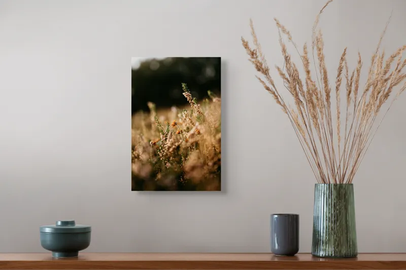 Tablou Canvas, "Flori de câmp în lumina serii", Flori, Camp, Lumina, Verde, Blândețe, Natură, Calm, Frumusețe, Serenitate, Textură, 26 x 39 cm – poza 5