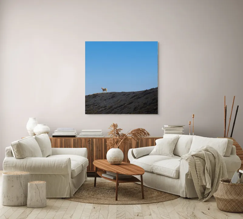 Tablou Canvas, "Oaia singuratică pe colină înaltă", Solitudine, Peisaj, Înaltimi, Tranquilitate, Natură, Cer, Reziliență, 100 x 100 cm – poza 3