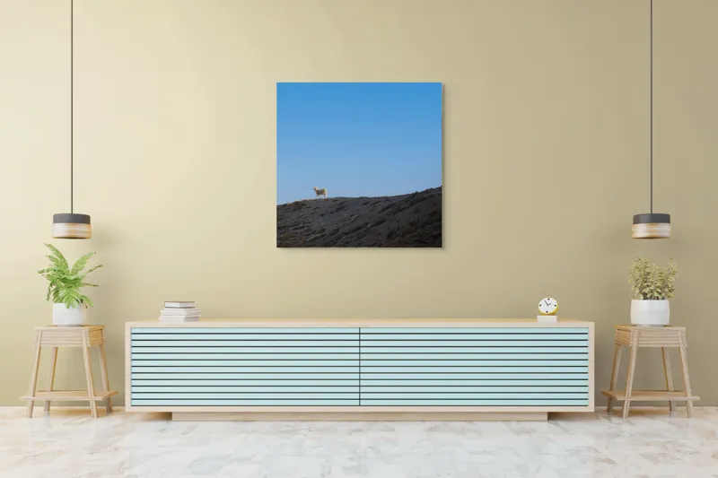 Tablou Canvas, "Oaia singuratică pe colină înaltă", Solitudine, Peisaj, Înaltimi, Tranquilitate, Natură, Cer, Reziliență, 100 x 100 cm – poza 5