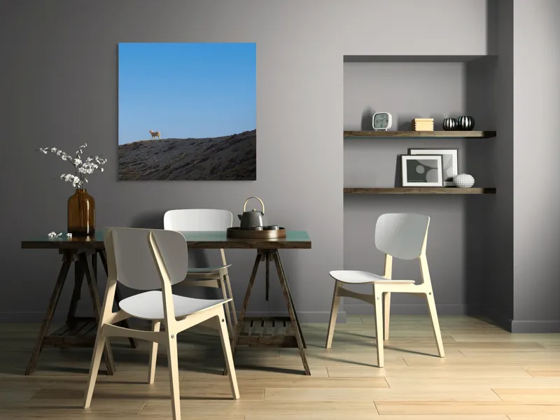 Tablou Canvas, "Oaia singuratică pe colină înaltă", Solitudine, Peisaj, Înaltimi, Tranquilitate, Natură, Cer, Reziliență, 100 x 100 cm – poza 6