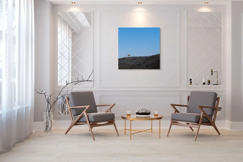 Tablou Canvas, "Oaia singuratică pe colină înaltă", Solitudine, Peisaj, Înaltimi, Tranquilitate, Natură, Cer, Reziliență, 100 x 100 cm – poza 7