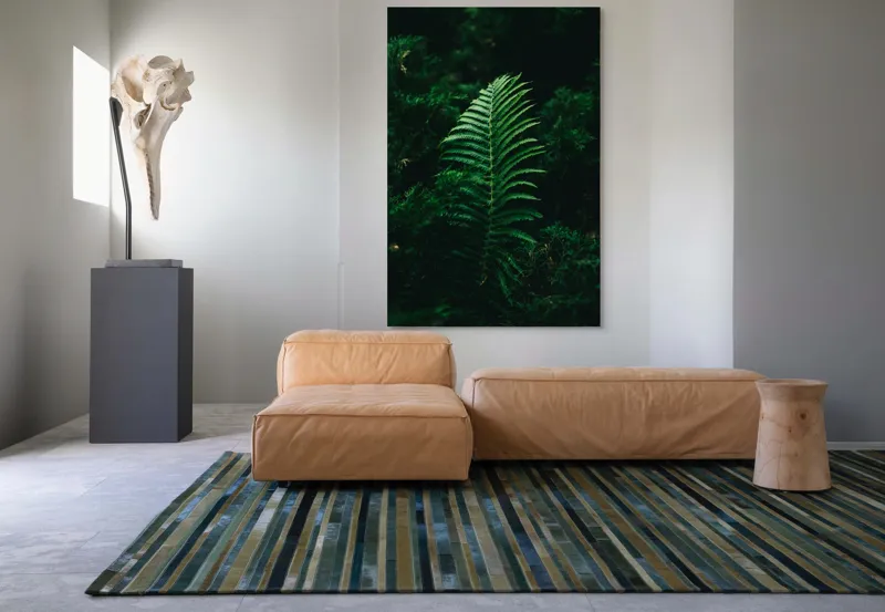 Tablou Canvas, "Frunză de ferigă în umbră verde", Frunză, Verde, Natură, Fern, Umbre, Vegetație, Întuneric, 100 x 150 cm – poza 7