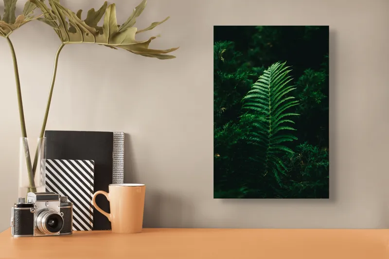 Tablou Canvas, "Frunză de ferigă în umbră verde", Frunză, Verde, Natură, Fern, Umbre, Vegetație, Întuneric, 26 x 39 cm – poza 3