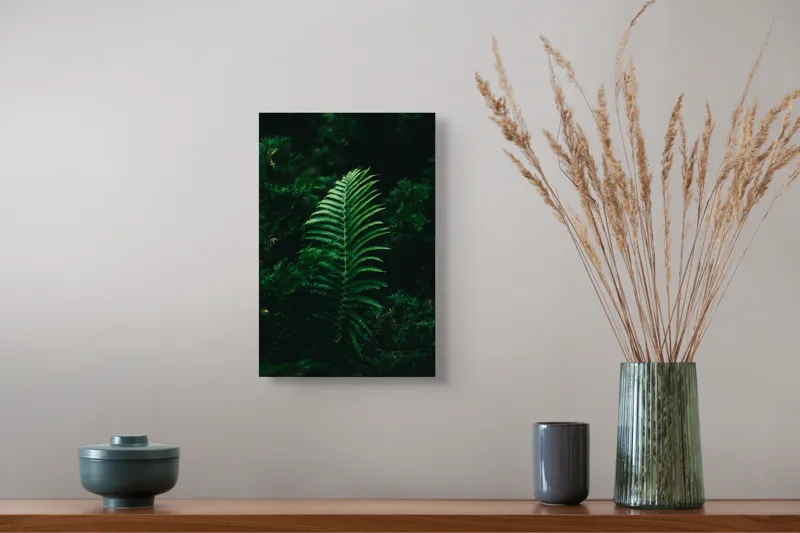 Tablou Canvas, "Frunză de ferigă în umbră verde", Frunză, Verde, Natură, Fern, Umbre, Vegetație, Întuneric, 26 x 39 cm – poza 5