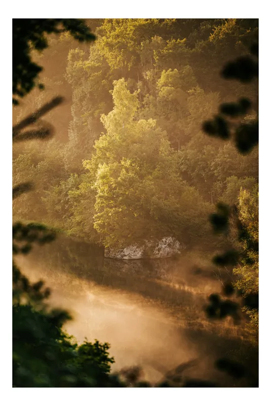 Tablou Canvas, "Pădurea învăluită în ceață aurie", Natură, Verdeață, Lumină, Ceață, Râu, Pădure, Reflexie, Tranquilitate, Peisaj, Seară, 70 x 100 cm