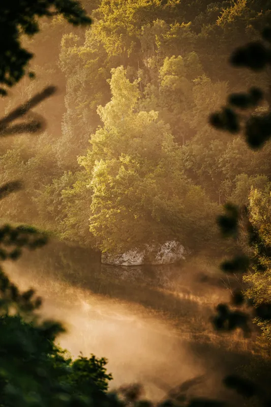 Tablou Canvas, "Pădurea învăluită în ceață aurie", Natură, Verdeață, Lumină, Ceață, Râu, Pădure, Reflexie, Tranquilitate, Peisaj, Seară, 26 x 39 cm – poza 2
