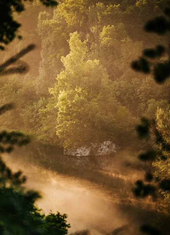Tablou Canvas, "Pădurea învăluită în ceață aurie", Natură, Verdeață, Lumină, Ceață, Râu, Pădure, Reflexie, Tranquilitate, Peisaj, Seară, 39 x 54 cm – poza 2