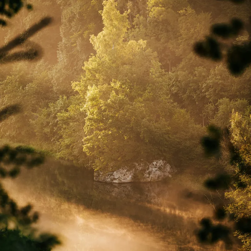 Tablou Canvas, "Pădurea învăluită în ceață aurie", Natură, Verdeață, Lumină, Ceață, Râu, Pădure, Reflexie, Tranquilitate, Peisaj, Seară, 50 x 50 cm – poza 2