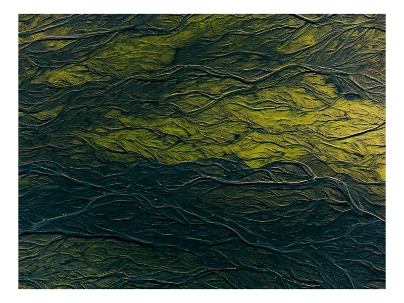 Tablou Canvas Texturi Organice în Tonuri de Verde Natură și Umbre, 100 x 100 cm