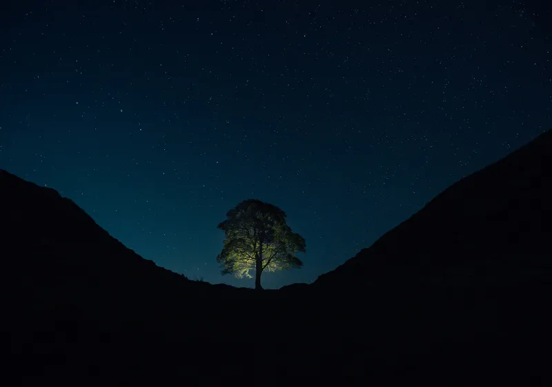 Tablou Canvas, "Stejarul luminat sub cerul înstelat", Copac, Noapte, Stele, Siluetă, Lumina, Câmpie, Cer, Întuneric, Natură, Contrast, 100 x 70 cm – poza 2