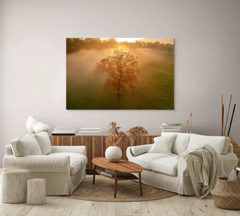 Tablou Canvas, "Mystica dimineață în roua aurie", Copac, Ceață, Răsărit, Calm, Natură, Toamnă, Peisaj, Lumină, Serenitate, Mistic, 150 x 100 cm – poza 3