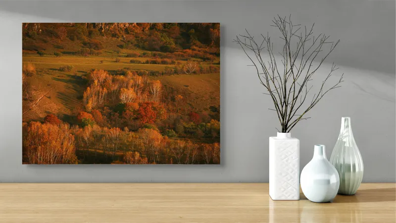 Tablou Canvas, "Pădurea înveșmântată în culori de toamnă", Toamnă, Peisaj, Pădure, Culori, Armonie, Natură, Frunze, Apus, Dealuri, Lumină, Umbre, Vegetație, Seară, Încântare, 70 x 50 cm – poza 3