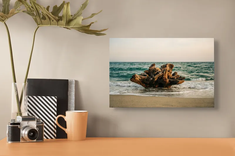 Tablou Canvas, "Bucată de lemn în valuri mării", Copac, Marea, Apus, Valuri, Nisip, Rădăcină, Cer, Natură, 39 x 26 cm – poza 3