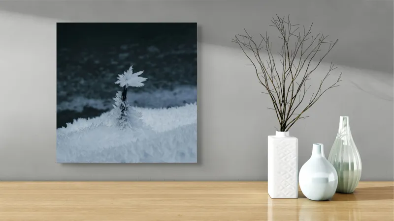 Tablou Canvas, "O floare în îmbrățișarea înghețului", Cristal, Delicat, Frig, Solitudine, Natură, 50 x 50 cm – poza 3