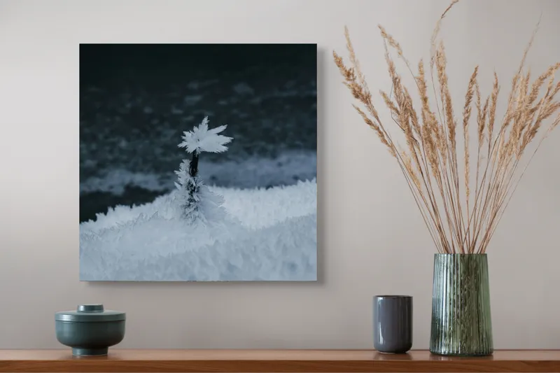 Tablou Canvas, "O floare în îmbrățișarea înghețului", Cristal, Delicat, Frig, Solitudine, Natură, 50 x 50 cm – poza 4