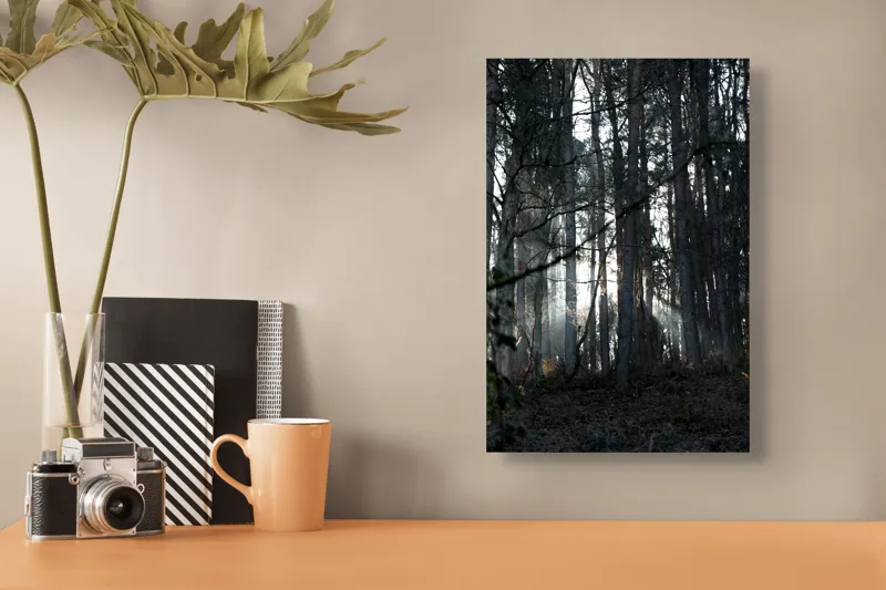 Tablou Canvas, "Lumina printre copacii pădurii tăcute", Pădure, Lumină, Copaci, Mister, Umbre, Natură, Tranquilitate, Aventură, 26 x 39 cm – poza 3