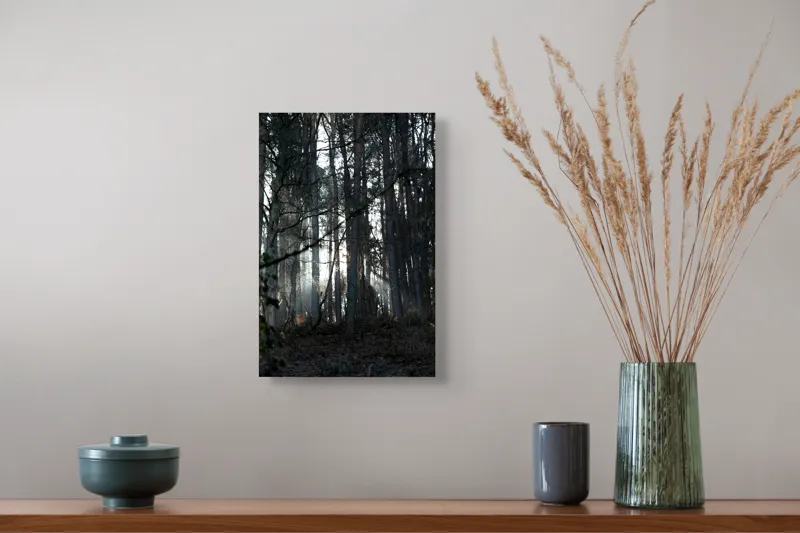 Tablou Canvas, "Lumina printre copacii pădurii tăcute", Pădure, Lumină, Copaci, Mister, Umbre, Natură, Tranquilitate, Aventură, 26 x 39 cm – poza 5