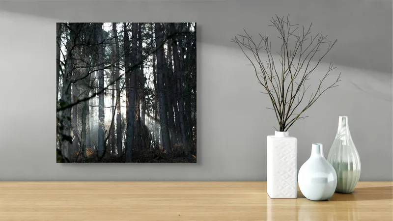 Tablou Canvas, "Lumina printre copacii pădurii tăcute", Pădure, Lumină, Copaci, Mister, Umbre, Natură, Tranquilitate, Aventură, 50 x 50 cm – poza 3