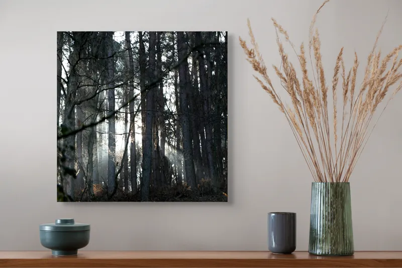 Tablou Canvas, "Lumina printre copacii pădurii tăcute", Pădure, Lumină, Copaci, Mister, Umbre, Natură, Tranquilitate, Aventură, 50 x 50 cm – poza 4