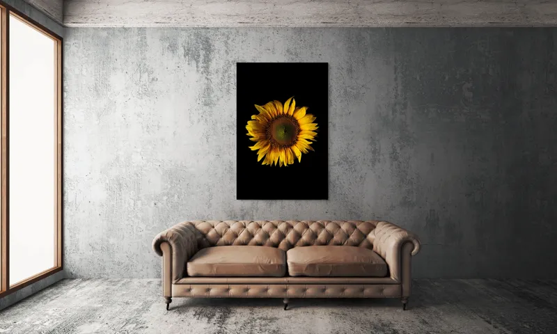 Tablou Canvas, "Floarea soarelui în întuneric total", Floare, Soare, Galben, Luminozitate, Simetrie, Natură, Contrast, Petale, Frumusețe, Simplificare, 100 x 150 cm – poza 6