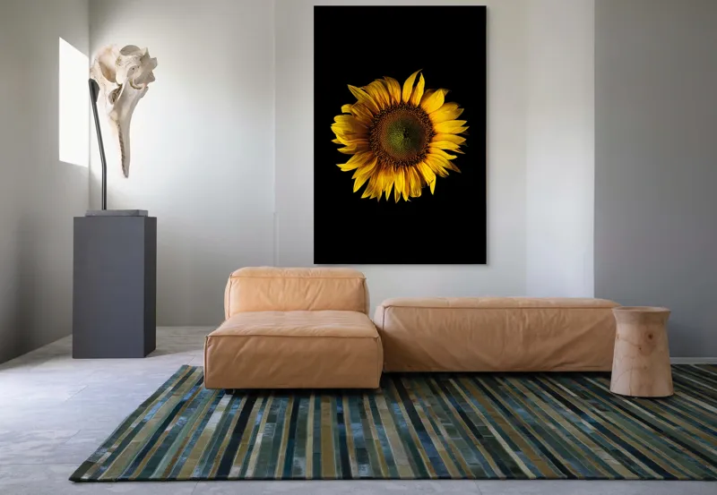 Tablou Canvas, "Floarea soarelui în întuneric total", Floare, Soare, Galben, Luminozitate, Simetrie, Natură, Contrast, Petale, Frumusețe, Simplificare, 100 x 150 cm – poza 7
