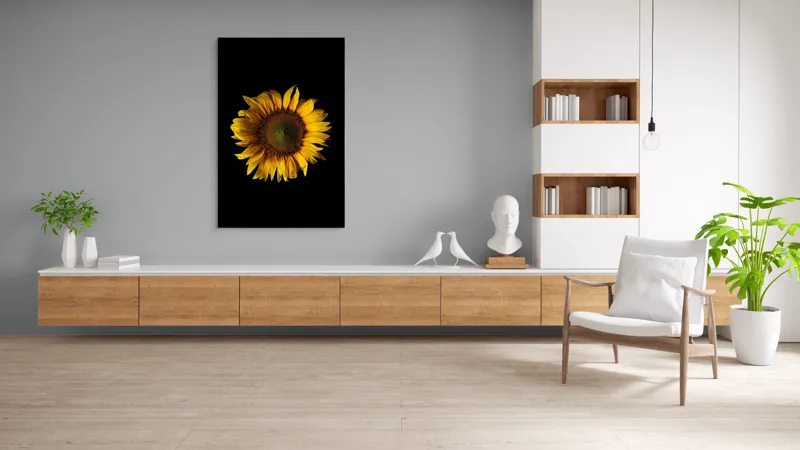 Tablou Canvas, "Floarea soarelui în întuneric total", Floare, Soare, Galben, Luminozitate, Simetrie, Natură, Contrast, Petale, Frumusețe, Simplificare, 100 x 150 cm – poza 8