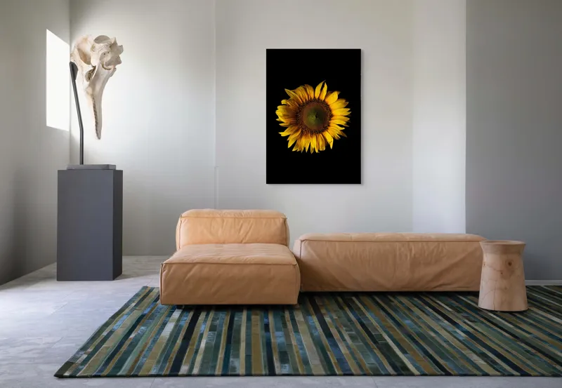 Tablou Canvas, "Floarea soarelui în întuneric total", Floare, Soare, Galben, Luminozitate, Simetrie, Natură, Contrast, Petale, Frumusețe, Simplificare, 70 x 100 cm – poza 7
