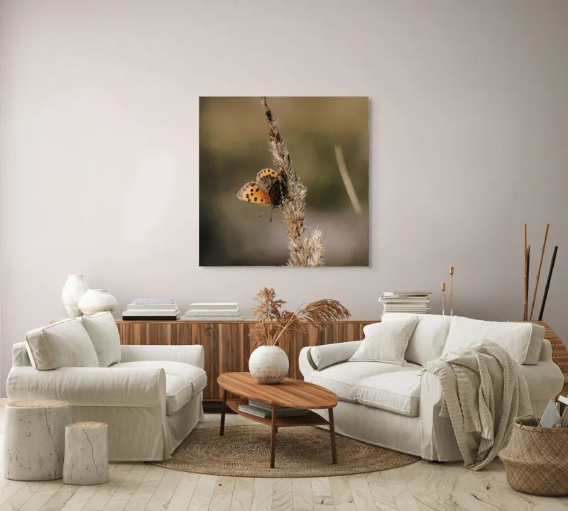 Tablou Canvas, "Fluture pe spicul de grâu uscat", Fluture, Aripi, Portocaliu, Negru, Frumusețe, Natură, Delicatețe, Grație, Fragilitate, 100 x 100 cm – poza 3