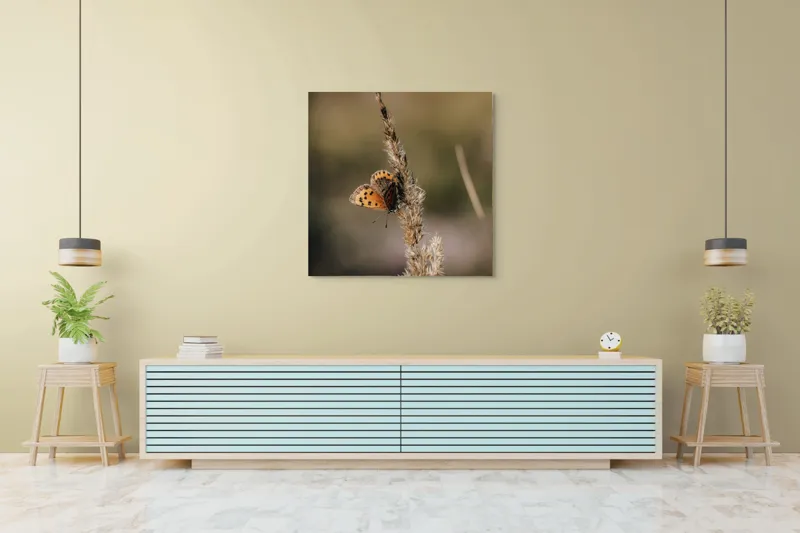 Tablou Canvas, "Fluture pe spicul de grâu uscat", Fluture, Aripi, Portocaliu, Negru, Frumusețe, Natură, Delicatețe, Grație, Fragilitate, 100 x 100 cm – poza 5