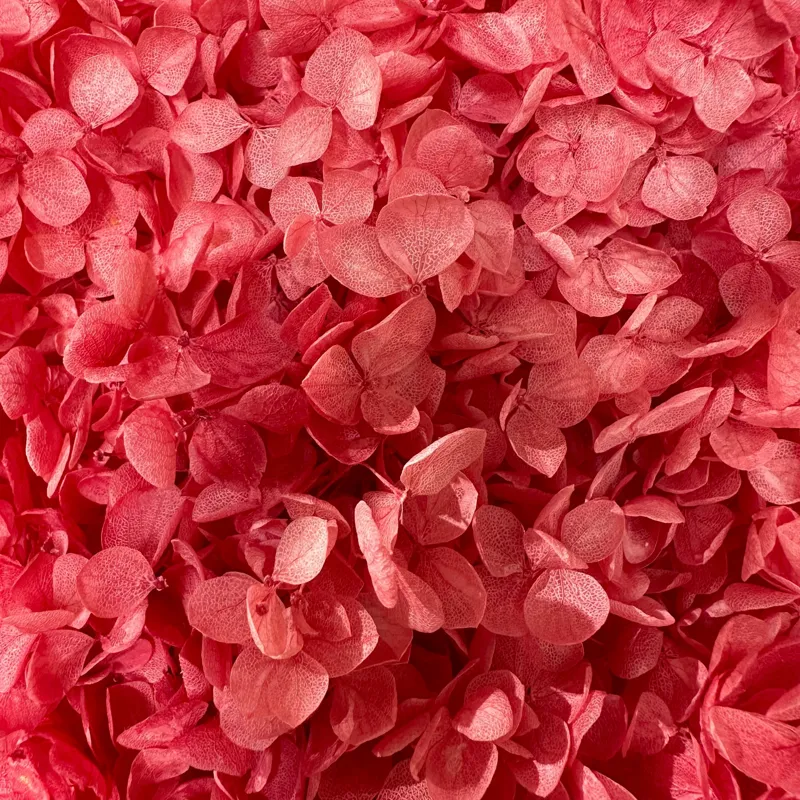 Tablou Canvas, "Splendoarea delicată a florilor uscate", Flori, Roz, Textura, Plante, Petale, Delicat, Abundenta, Naturalețe, 100 x 100 cm – poza 2