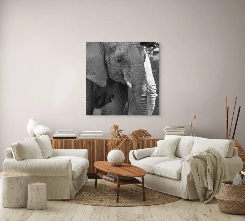 Tablou Canvas, "Elefantul în moment de contemplare liniștită", 100 x 100 cm – poza 3