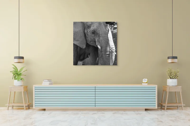 Tablou Canvas, "Elefantul în moment de contemplare liniștită", 100 x 100 cm – poza 5