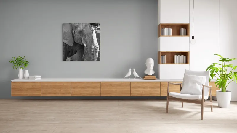 Tablou Canvas, "Elefantul în moment de contemplare liniștită", 100 x 100 cm – poza 8