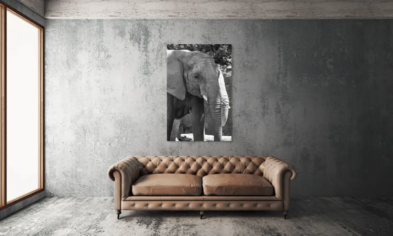 Tablou Canvas, "Elefantul în moment de contemplare liniștită", 100 x 150 cm – poza 6