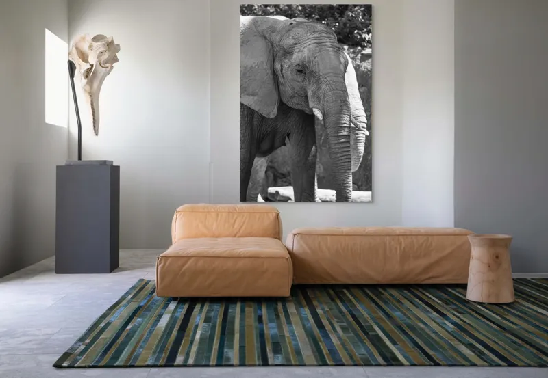 Tablou Canvas, "Elefantul în moment de contemplare liniștită", 100 x 150 cm – poza 7