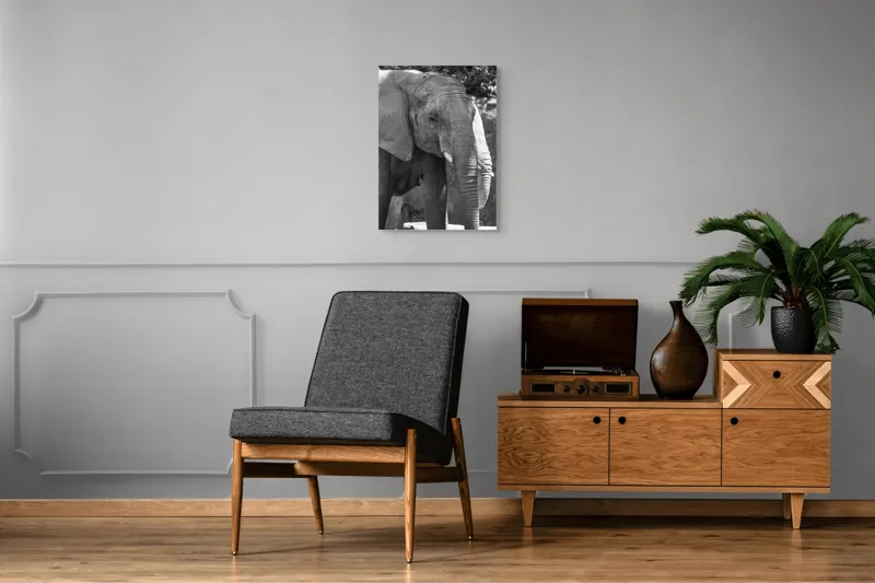Tablou Canvas, "Elefantul în moment de contemplare liniștită", 50 x 70 cm – poza 8