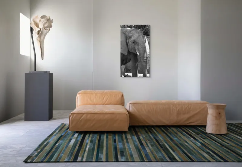 Tablou Canvas, "Elefantul în moment de contemplare liniștită", 50 x 90 cm – poza 5