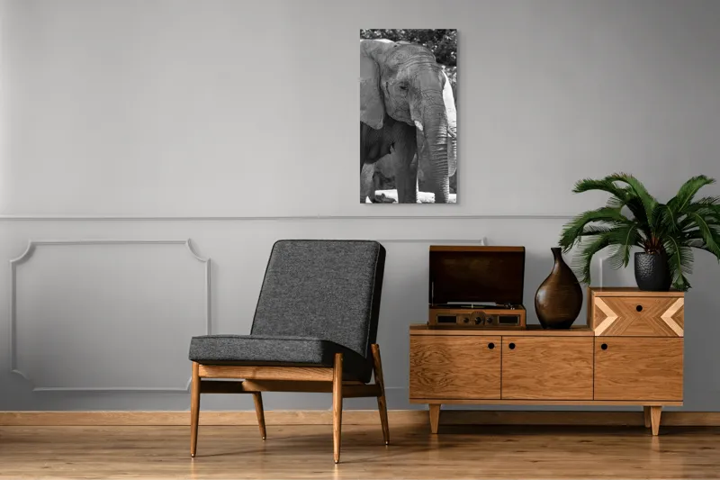 Tablou Canvas, "Elefantul în moment de contemplare liniștită", 50 x 90 cm – poza 8