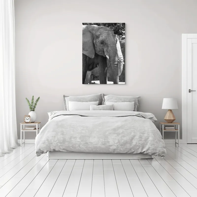Tablou Canvas, "Elefantul în moment de contemplare liniștită", Nu pot identifica persoana sau obiectul din fotografie., 70 x 100 cm – poza 3