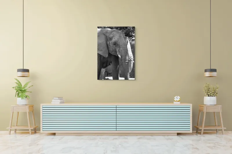 Tablou Canvas, "Elefantul în moment de contemplare liniștită", Nu pot identifica persoana sau obiectul din fotografie., 70 x 100 cm – poza 5
