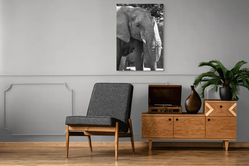 Tablou Canvas, "Elefantul în moment de contemplare liniștită", Nu pot identifica persoana sau obiectul din fotografie., 70 x 100 cm – poza 6