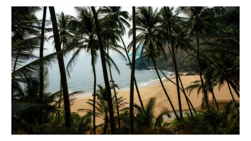 Tablou Canvas, "Vraja unei plaje ascunse tropicale", Palmieri, Plajă, Nisip, Ocean, Valuri, Cer, Peisaj, Tropice, Natură, Relaxare, 39 x 26 cm